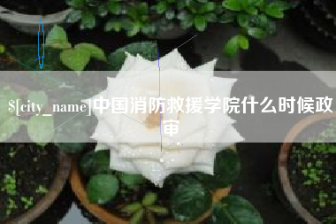云浮中国消防救援学院什么时候政审