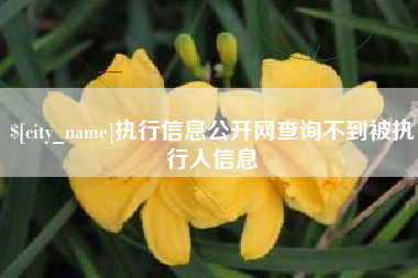 云浮执行信息公开网查询不到被执行人信息