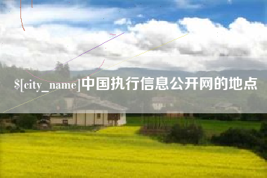 云浮中国执行信息公开网的地点