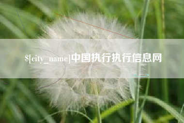 云浮中国执行执行信息网