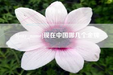 云浮现在中国哪几个金牌