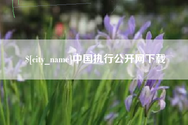 云浮中国执行公开网下载