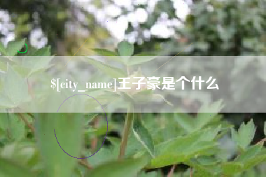 云浮王子豪是个什么