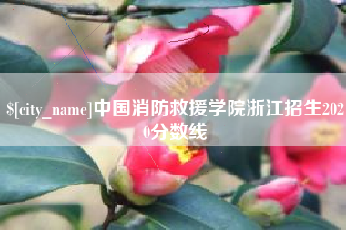 云浮中国消防救援学院浙江招生2020分数线