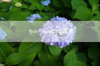 云浮2022九宫