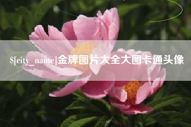 云浮金牌图片大全大图卡通头像
