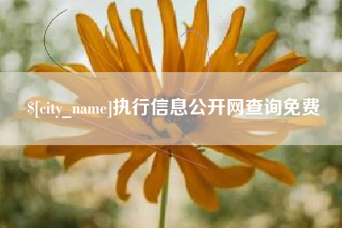 云浮执行信息公开网查询免费