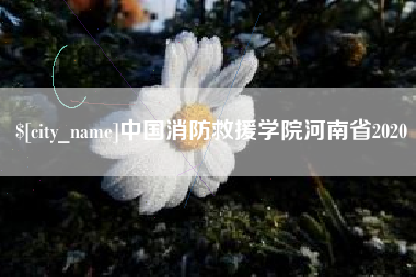云浮中国消防救援学院河南省2020